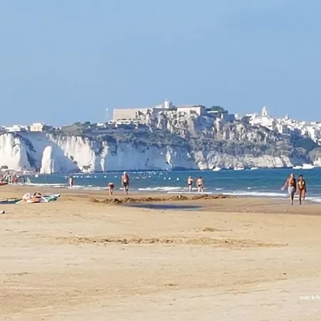 Ervilia ヴィエステ