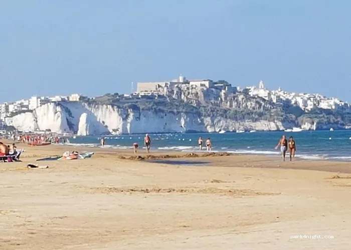 Ervilia 비에스테